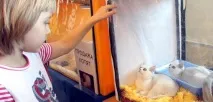 изложба