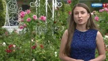 Вихідні у столиці чого чекати від погоди та куди піти погоди