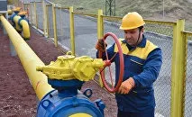 Вибори до Держдуми України - новачки не пройшли вибори