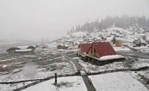 Вибори до Держдуми України - новачки не пройшли держдуми