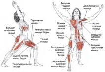 поза нейните