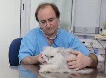 клиника
