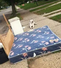 якого