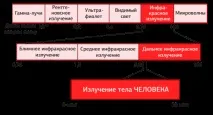 хората хората