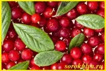 червена полезните