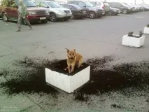 обещах съжалявам