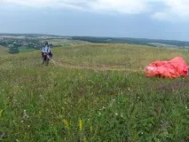 Хочеш бути птахом – будь птахом! птахом