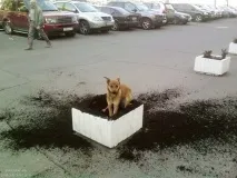 вчера вчера