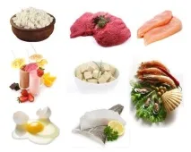 продукти протеинови