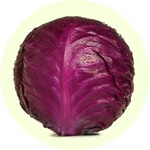 всичко зеле