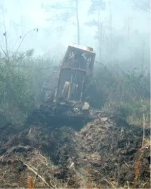 зустрічний
