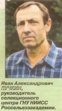 сибіру