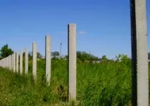 паркануособливості