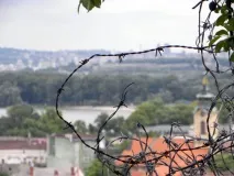 стар белград