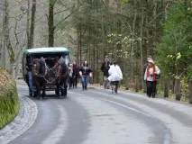 Замки короля Людвіга II, maktur замку
