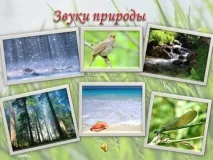 Заняття з педагогами «Звукотерапія педагогами