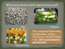 тропически слайд