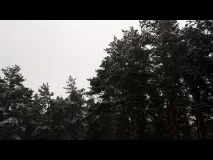 зоопарк зоопарк