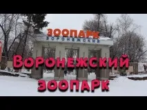 зоопарк Юлия Началова