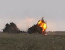 Лента живо зоопарк
