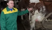 селскостопанска златен