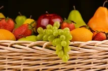 Зоопарк у Даляні - як проїхати, скільки коштує, що можна подивитися проїхати