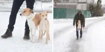 фото гомел