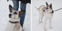 жители гомел
