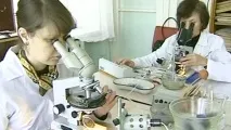 загуби милиарда