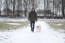 истории жители