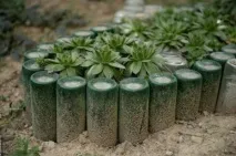 12 красивих та корисних речей зі скляних пляшок, якими можна прикрасити свій будинок та дачу пляшок