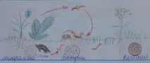органични вещества страница