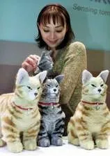 Aibo devine mai distractiv Japonia lansează primul robot pisică numit NeCoRo