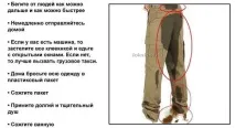 Сценарій