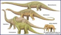 Апатозавр (Apatosaurus) апатозавр