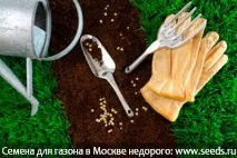 7 порад при посадці газонної трави або як правильно посадити (посіяти) насіння трави Легка справа трави