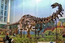 Апатозавр (Apatosaurus) були