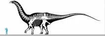 Апатозавр (Apatosaurus) апатозавр