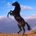 улики отговори
