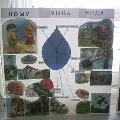 Розмова «Вода довкола нас води природі