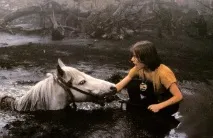 фантазію