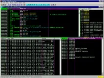 nezumi anti-debug-00