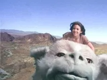 Атрейю