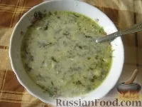Супи, Страви зі шпинату, рецепти з фото на 269 рецептів страви