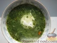 Супи, Страви зі шпинату, рецепти з фото на 269 рецептів шпинату