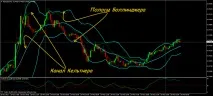 портал избор