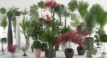 Бізнес ідеї за кордоном - Лайфхакер кордоном