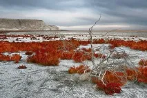 Колишнє Аральське море море