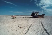 Колишнє Аральське море аральське