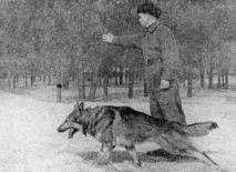безразличие